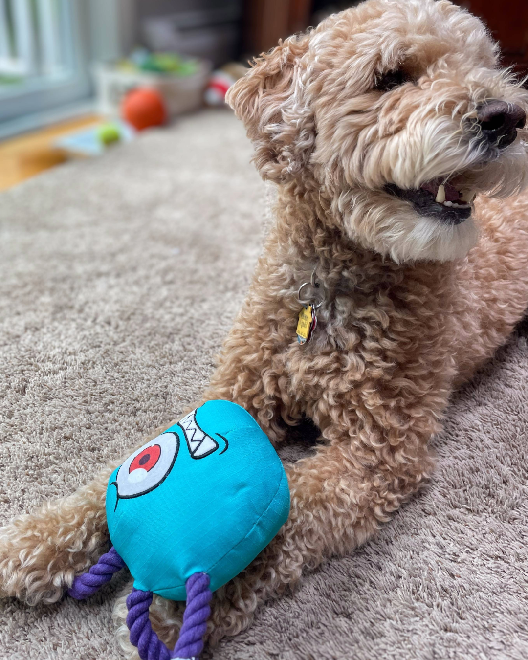 For Canine Companions | The BeSlobber