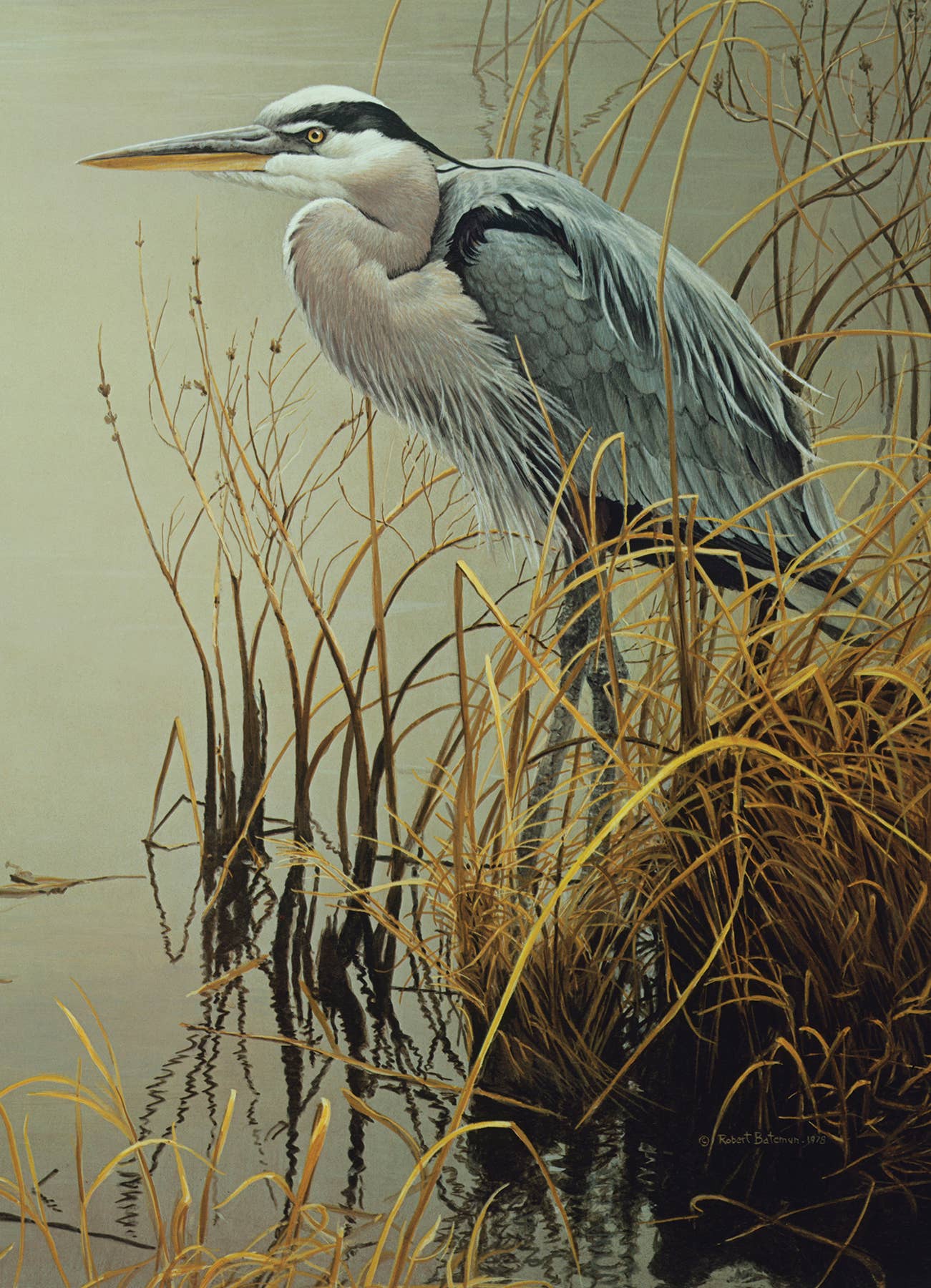 Great Blue Heron | 500pc puzzle