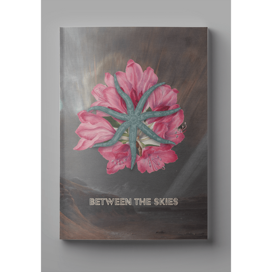 sale - Between the Skies