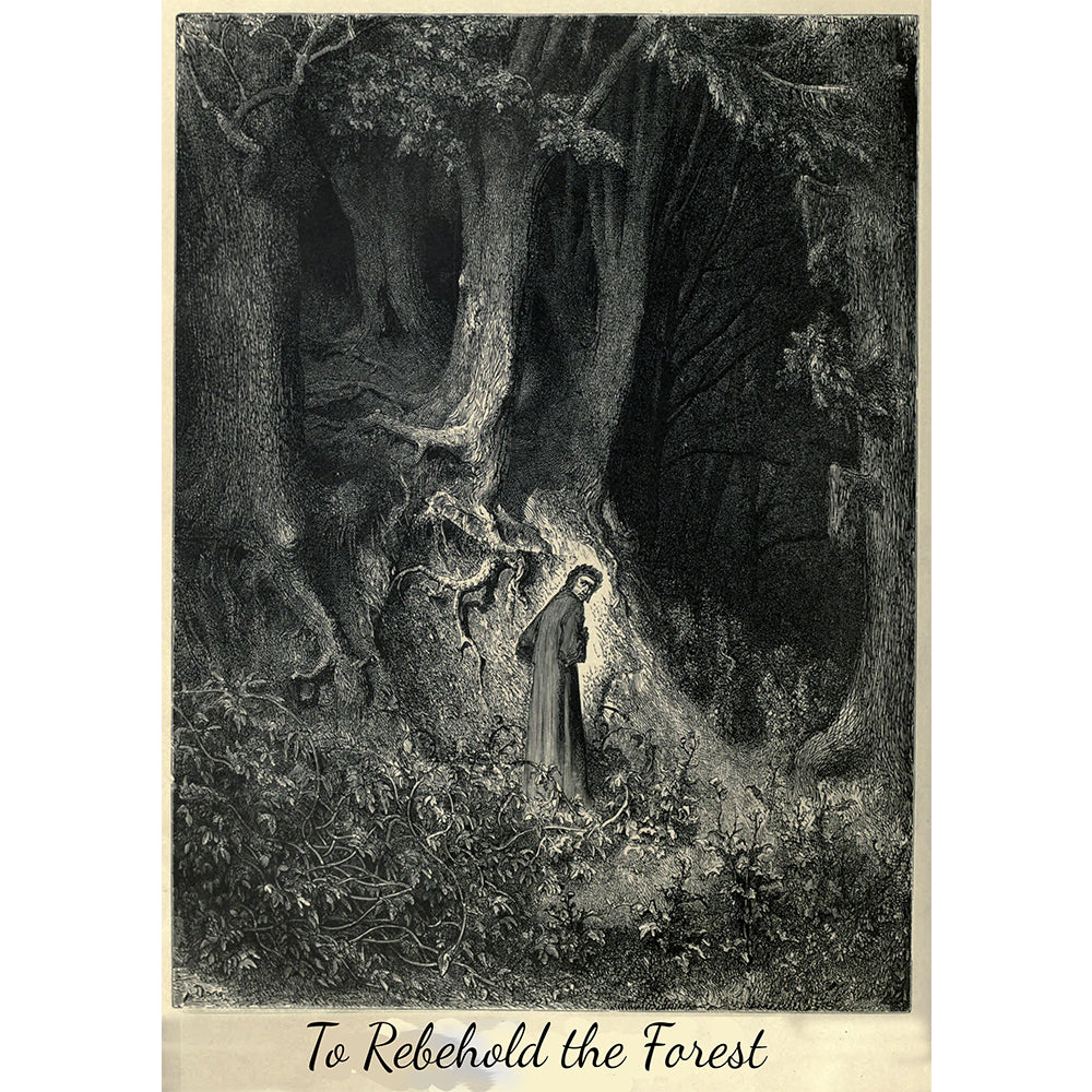 To Rebehold the Forest