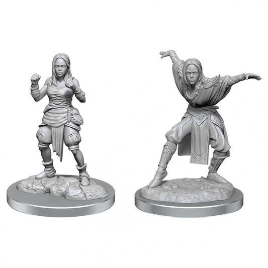 D&D Nolzur's Half-Elf Monk Females W21 [WZK90652]
