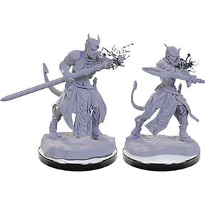 D&D: NMU: Tiefling Warlocks male+female W22 [WZK90670]