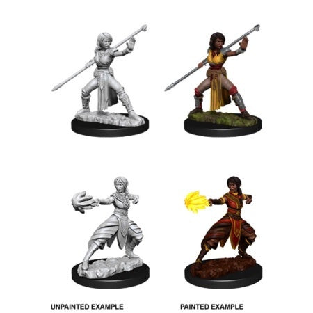 Nolzur Mini: W10 Female Half-Elf Monk [WZK73839]