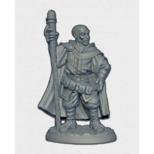 Amari, Adventuring Wizard human male [Reaper 04013]