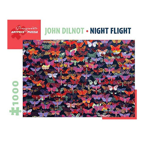 John Dilnot: Night Flight Puzzle