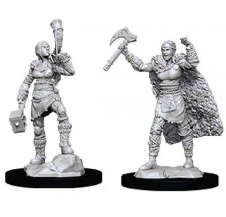 Nolzur Mini: W12 Female Human Barbarian [WZK90056]