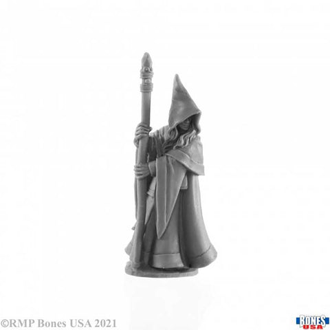 Bones USA RL: Anirion, Elf Wizard [Reaper 30027]