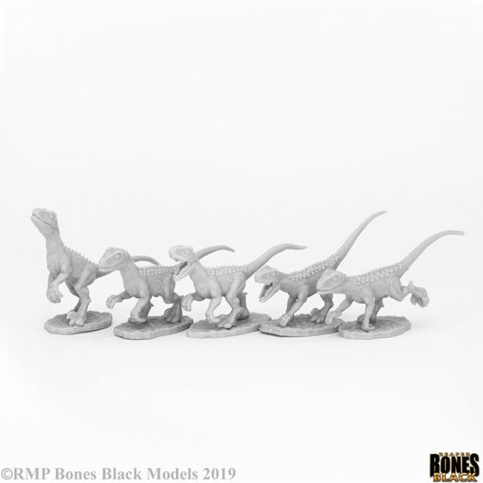 Bones Black: Raptor Hunting Pack (5 figs) [Reaper 44081]