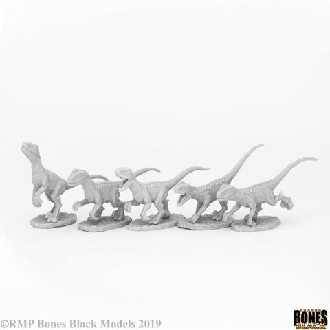 Bones Black: Raptor Hunting Pack (5 figs) [Reaper 44081]