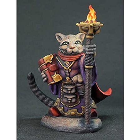 Critter Kingdoms - Grumpy Cat Warlock [DSM8078]