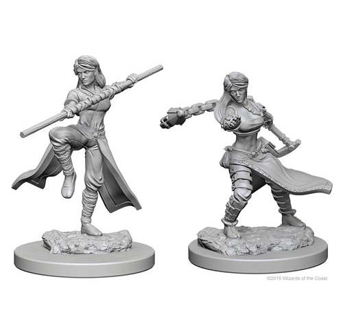 Nolzur Mini: W1 Human Female Monk [WZK72634]