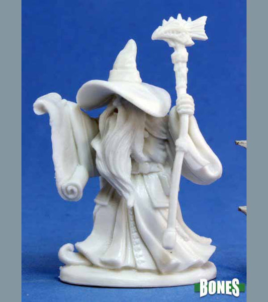 Galladon Male Wizard human [Reaper 77054]