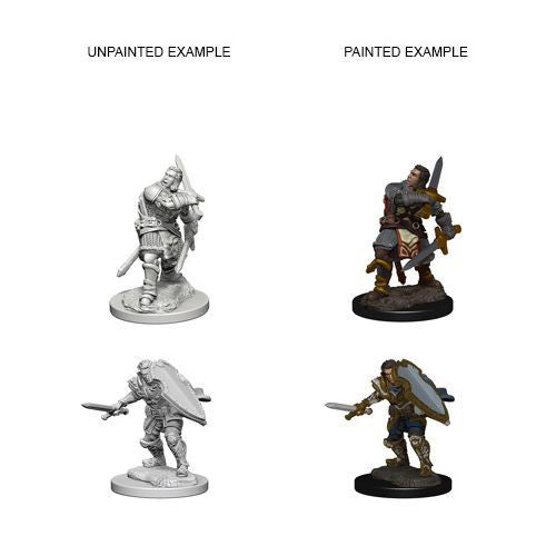 Nolzur Mini: W3 Male Human Paladin [WZK72629]