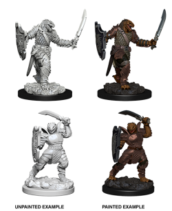 Nolzur Mini: W5 Dragonborn Female Paladin [WZK73341]