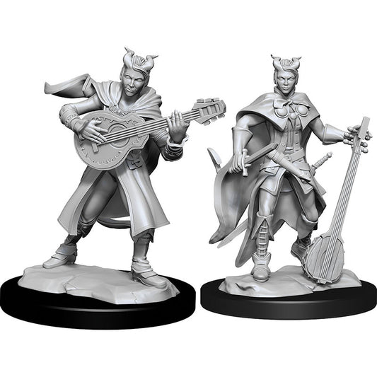 D&D Tiefling Bard Female W14 [WZK90226]