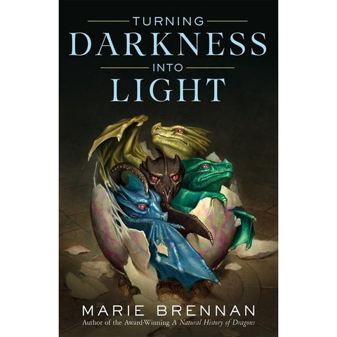 Turning Darkness Into Light [Brennan, Marie]