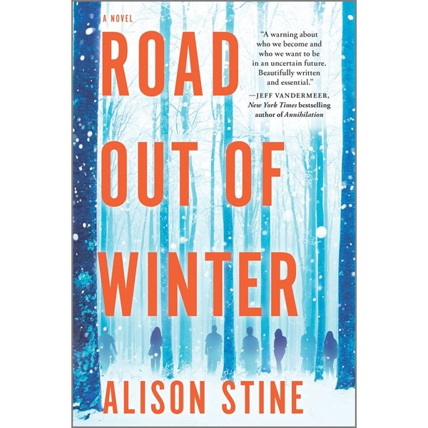 Road Out of Winter [Stine, Alison]