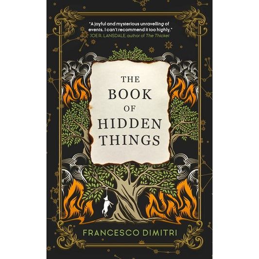 The Book of Hidden Things [Dimitri, Francesco]