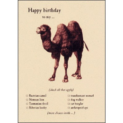 Birthday Card | Bactrian Camel