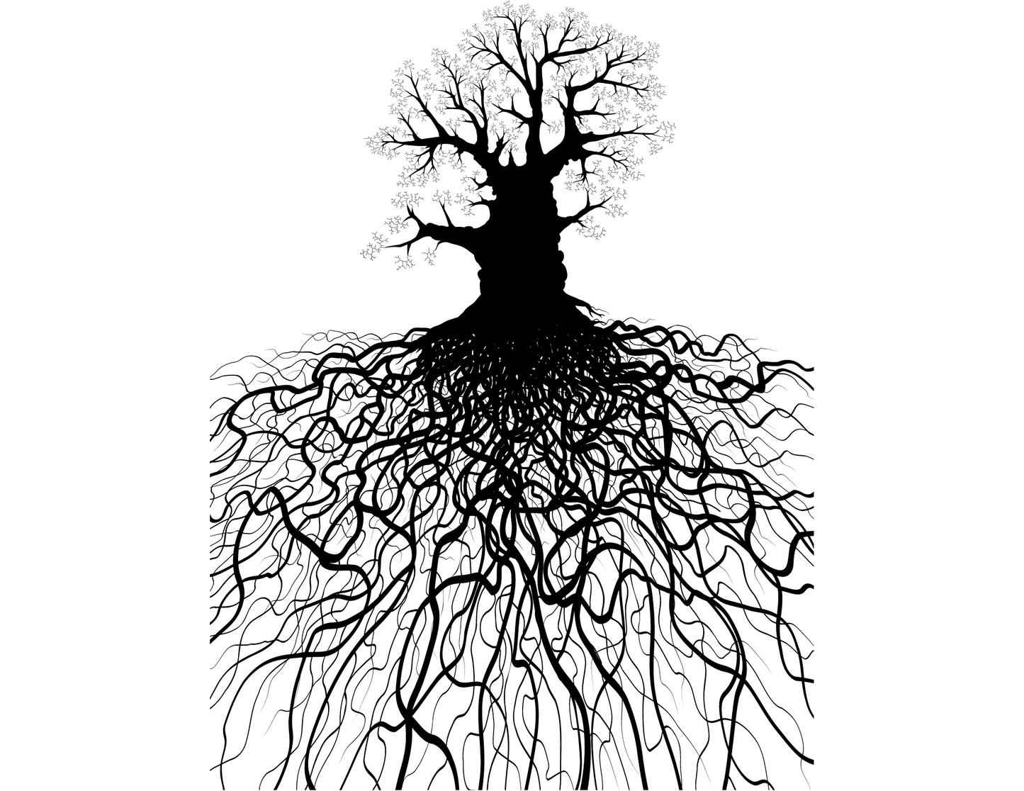 The Roots of Enchantment: In Conversation with Theodora Goss and C.S.E. Cooney