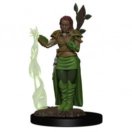 sale - D&D Premium Figures: W2 Female Human Druid [WZK93009]