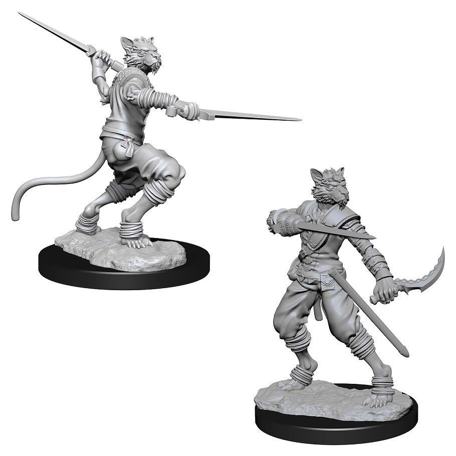 Nolzur Mini: W7 Male Tabaxi Rogue (2) [WZK73540]