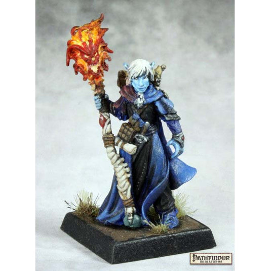 Nolevniss Azrinae (unpainted male dark elf wizard) [Reaper 60162]