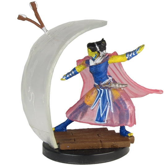 Blind Box mini: Volo & Mordenkainen's Foes 34: Githzerai Anarch