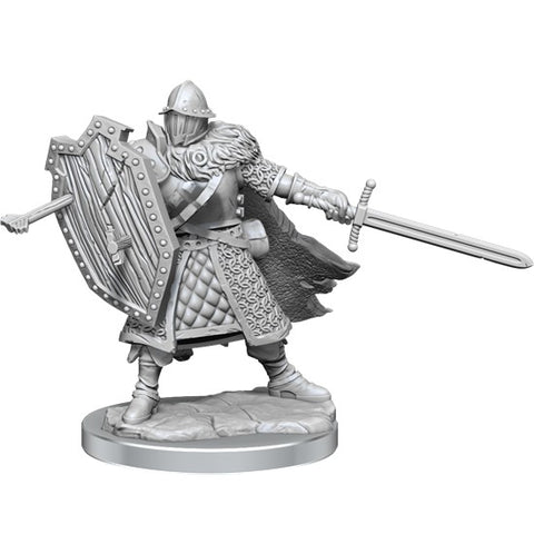 Dungeons & Dragons Frameworks: W01 Human Fighter Male [WZK75013]