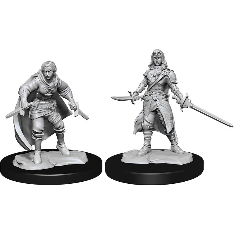 D&D Half-Elf Rogue Female W14 [WZK90228]