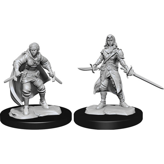 D&D Half-Elf Rogue Female W14 [WZK90228]