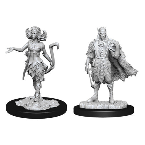 D&D: NMU: Autumn & Summer Eladrin W15 [WZK90319]