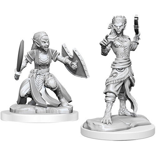 D&D Shifter Fighter W20 [WZK90407]