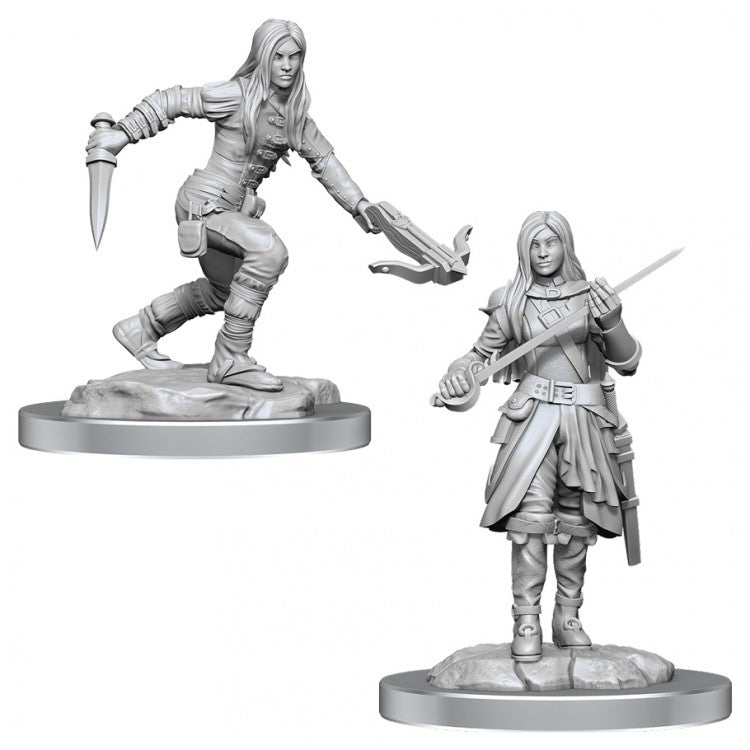 D&D Half-Elf Rogue Female W17 [WZK90485]