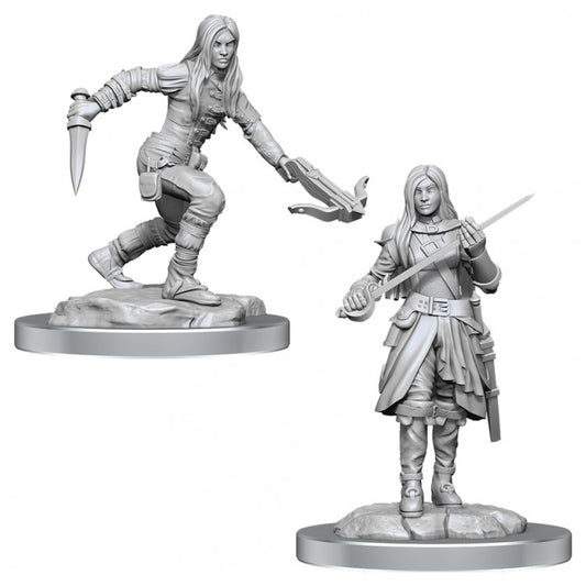 D&D Half-Elf Rogue Female W17 [WZK90485]