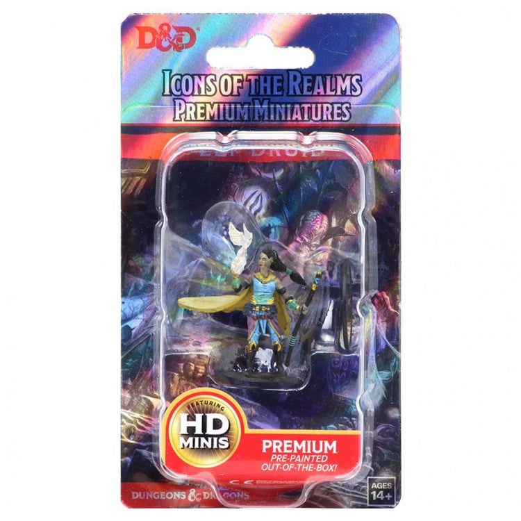 D&D: Icons of the Realm: Premium: Elf Female Druid [WZK93003]