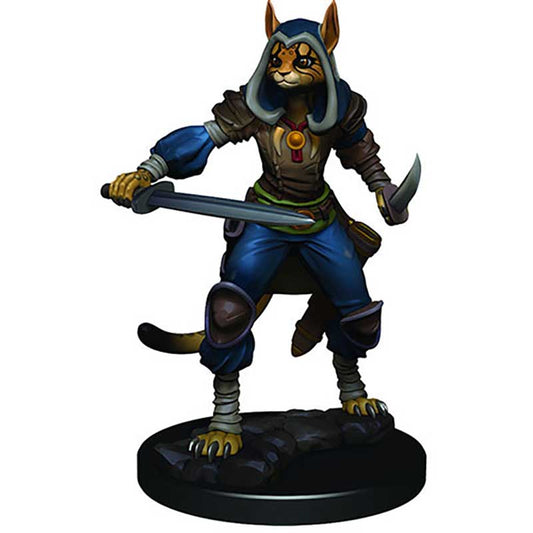 D&D Premium Figures: W3 Female Tabaxi Rogue [WZK93012]